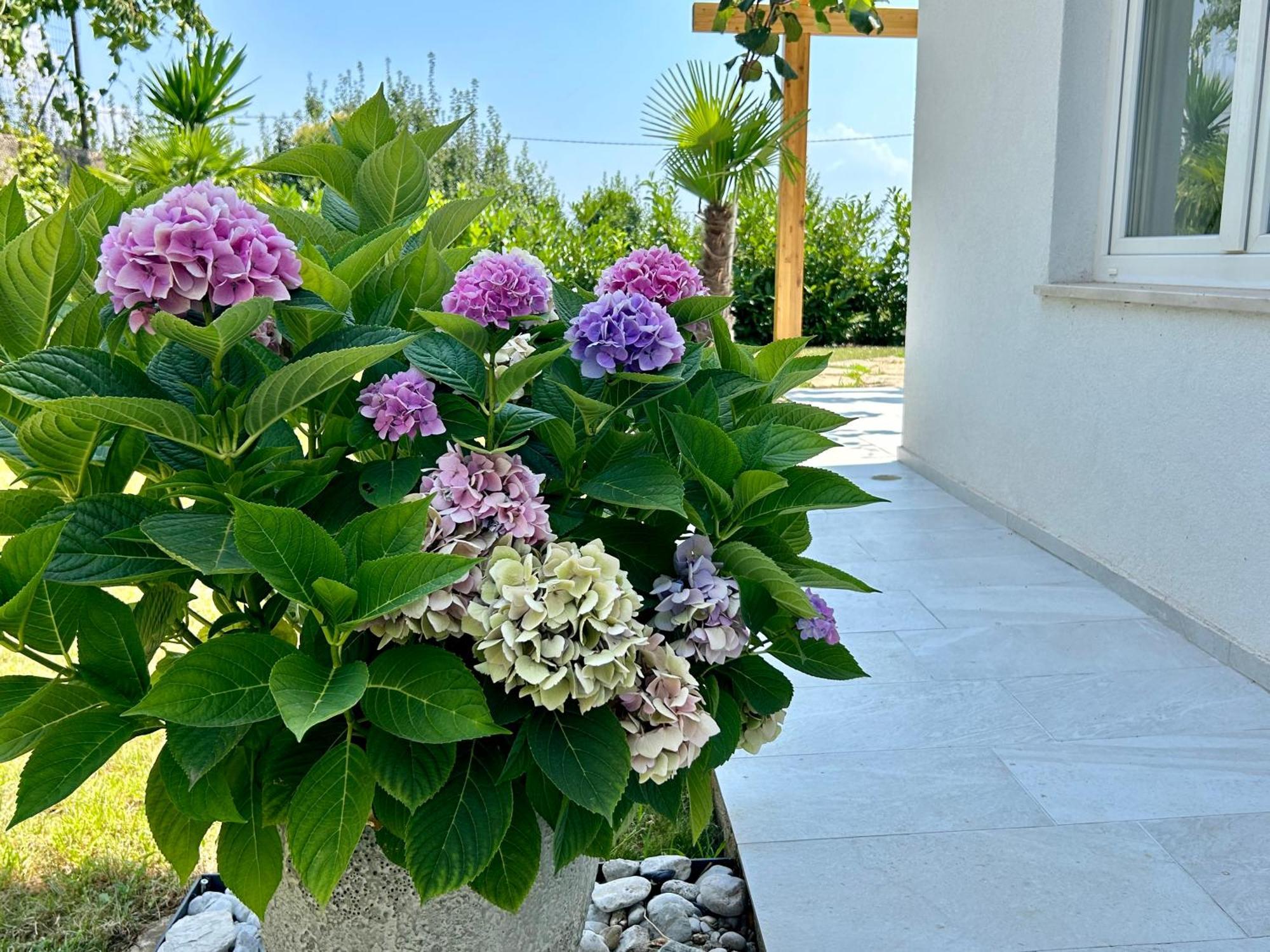 Villa Palma 洛夫兰 外观 照片