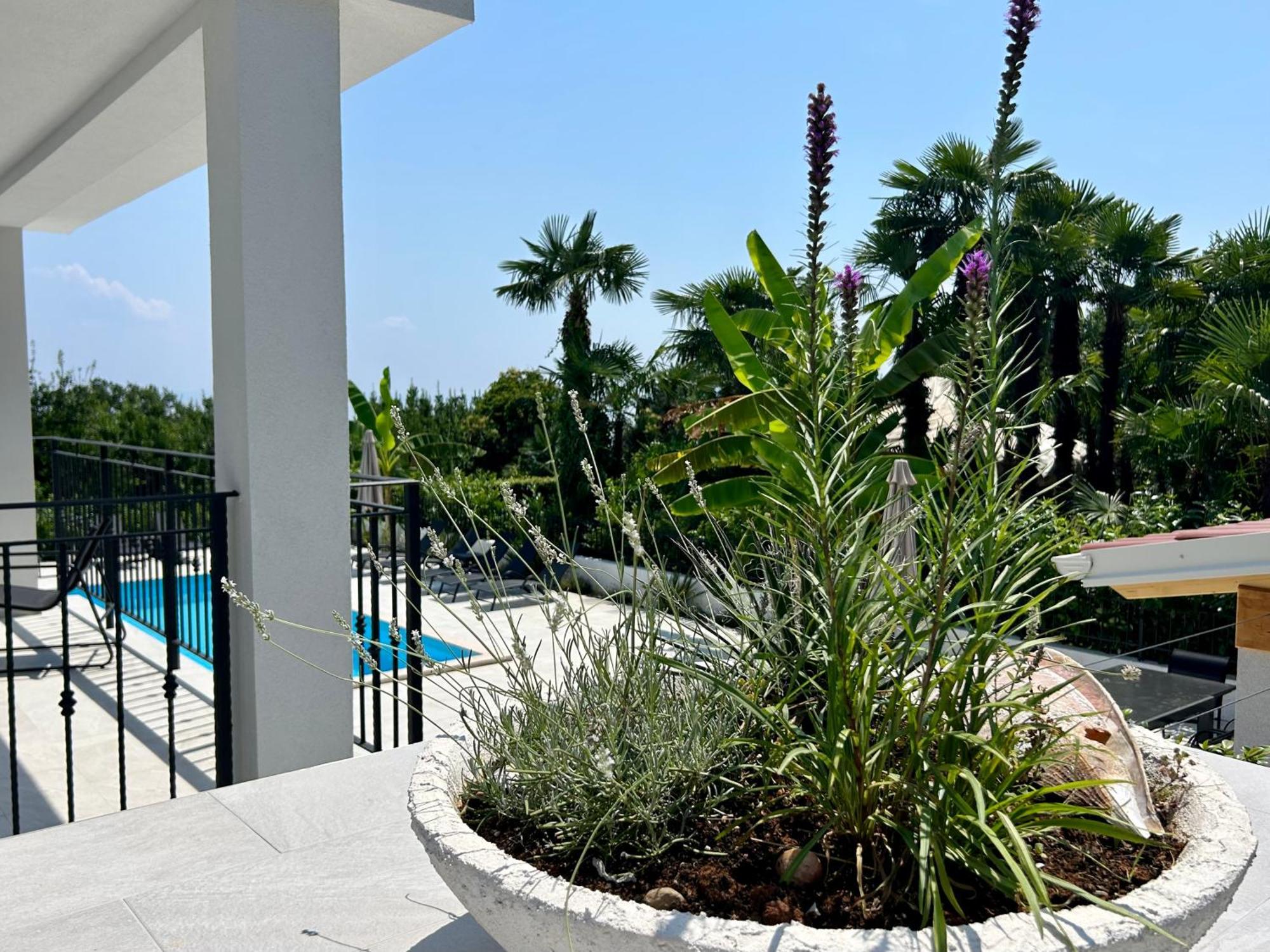 Villa Palma 洛夫兰 外观 照片